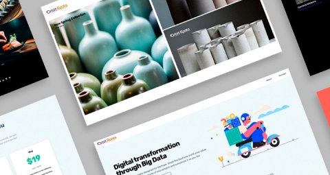 Orbit Roots | Shaping Digital Growth